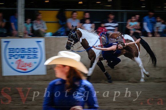 Horsecapades
