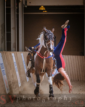 Horsecapades