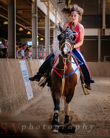 Horsecapades