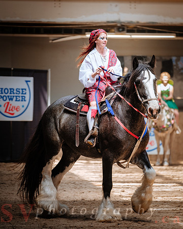 Horsecapades