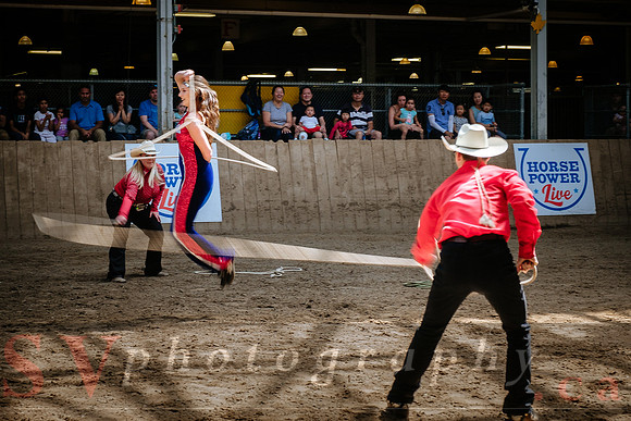Horsecapades