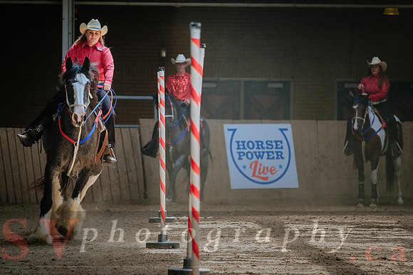 Horsecapades