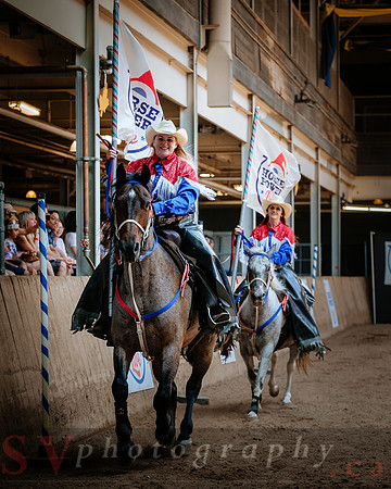 Horsecapades