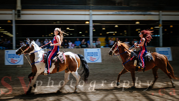 Horsecapades