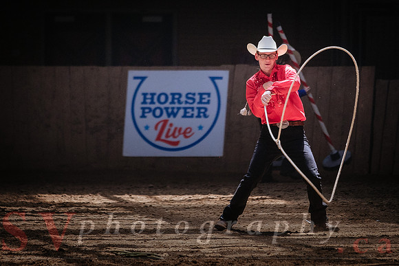 Horsecapades
