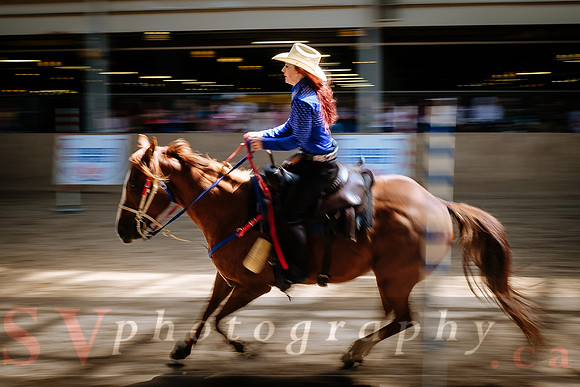 Horsecapades