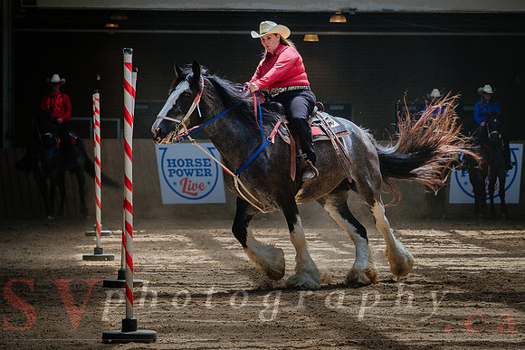 Horsecapades