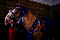 Horsecapades