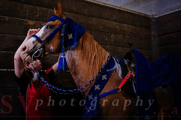 Horsecapades