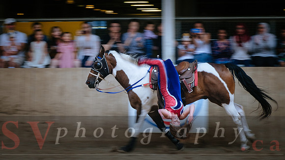 Horsecapades