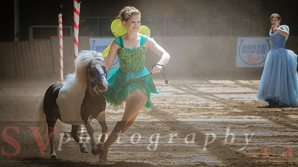 Horsecapades