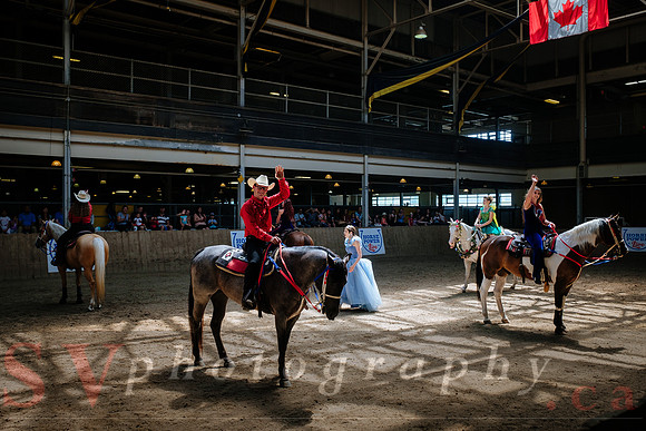 Horsecapades