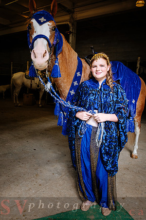 Horsecapades