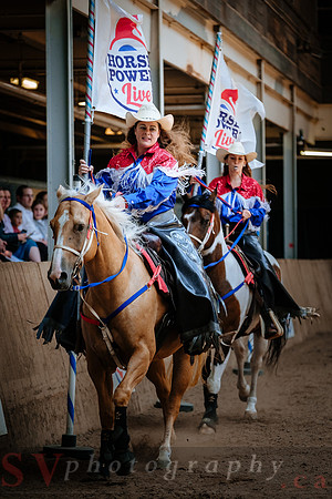 Horsecapades