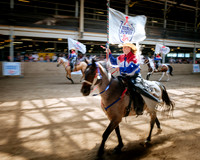 Horsecapades
