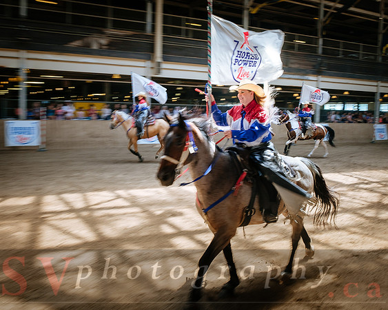 Horsecapades