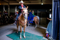 Horsecapades