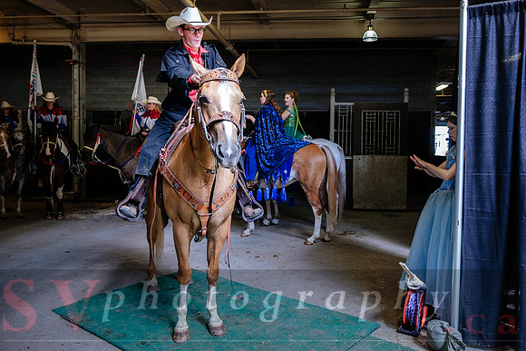 Horsecapades