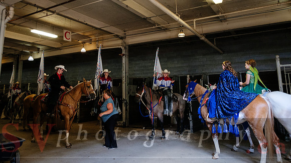 Horsecapades