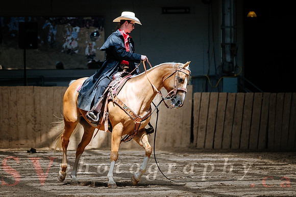 Horsecapades