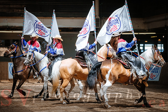 Horsecapades