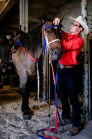 Horsecapades
