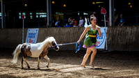 CNE kicks off with HorseCapades