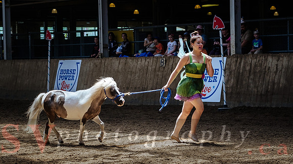 CNE kicks off with HorseCapades