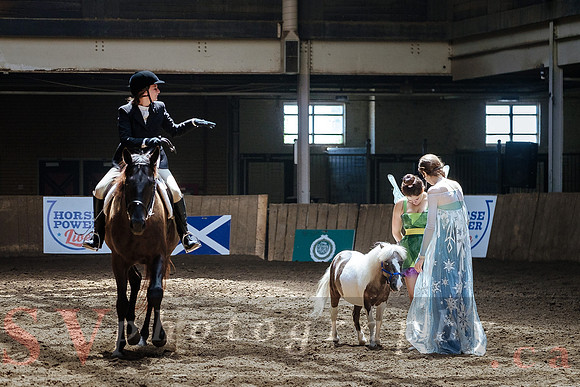 CNE kicks off with HorseCapades