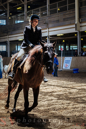CNE kicks off with HorseCapades