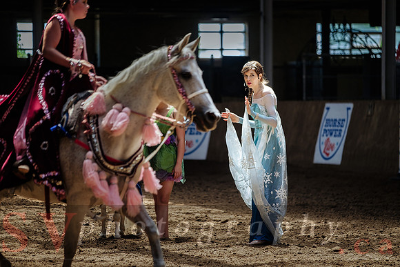 CNE kicks off with HorseCapades