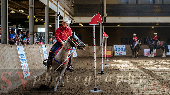CNE kicks off with HorseCapades