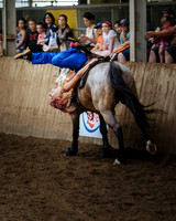 CNE kicks off with HorseCapades