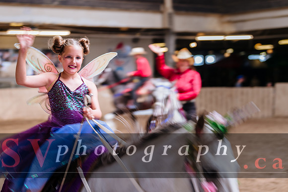 Horsecapades