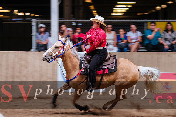 Horsecapades