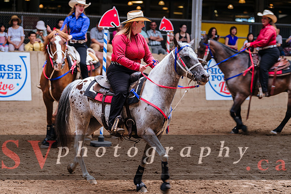 Horsecapades