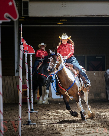 CNE kicks off with HorseCapades
