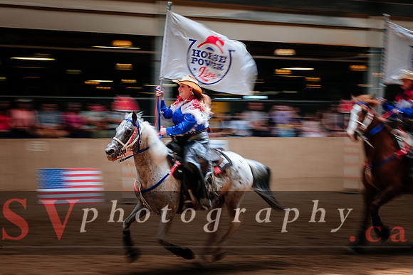Horsecapades