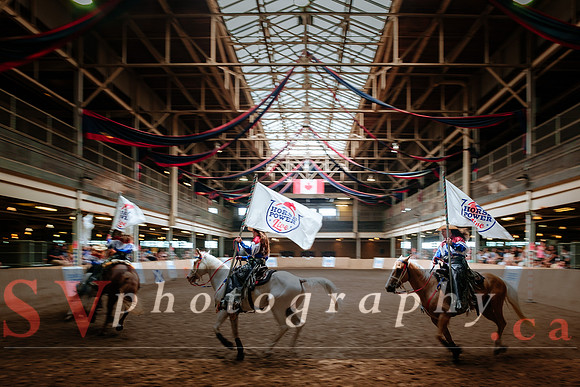 Horsecapades