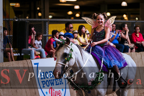Horsecapades