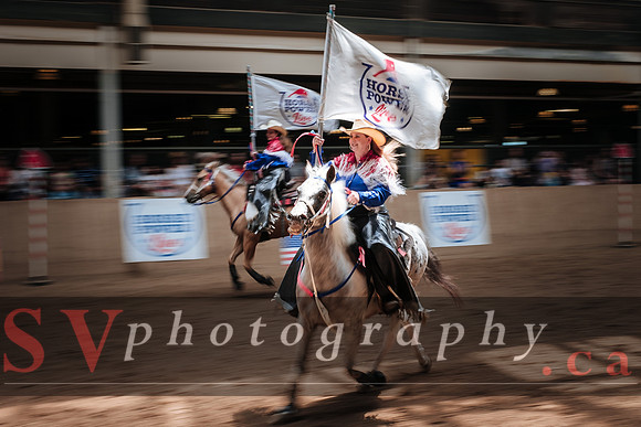 Horsecapades