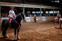 Horsecapades