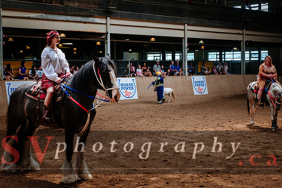 Horsecapades