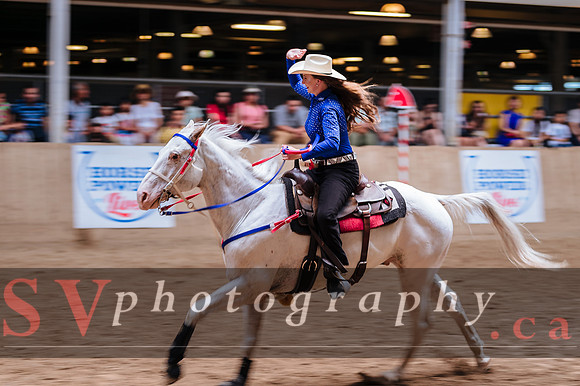 Horsecapades