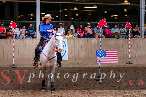 Horsecapades