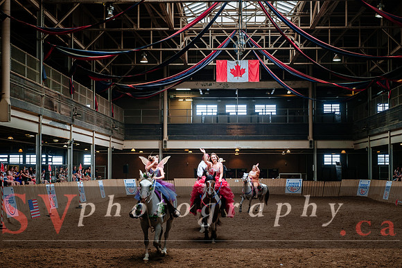 Horsecapades