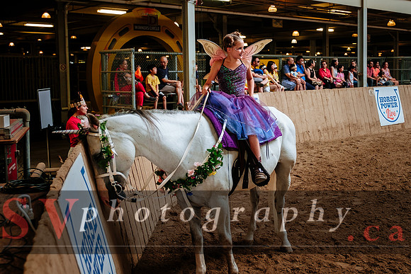 Horsecapades