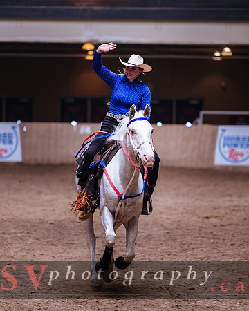 Horsecapades