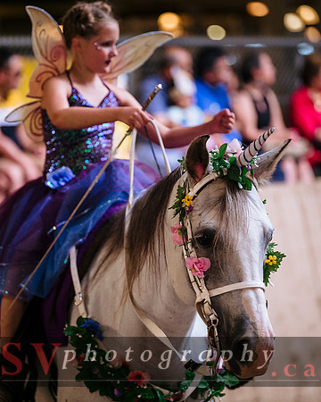 Horsecapades