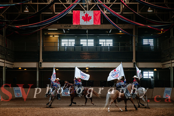 Horsecapades